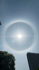 2025年5月14日朝9頃　宮城県仙台市宮城野区で見られたハロです