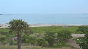 宮城県のはまなす海洋館で行われた結婚式を記録撮影。披露宴では当日編集のライブエンドロールも制作しました。ウェディングムービーはVPKにお任せください！