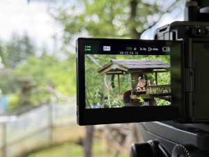 宮城県仙台市の八木山動物公園にて、テレビ番組の現場にカメラマンと機材を派遣。カメラ・三脚等の貸出も対応しました。